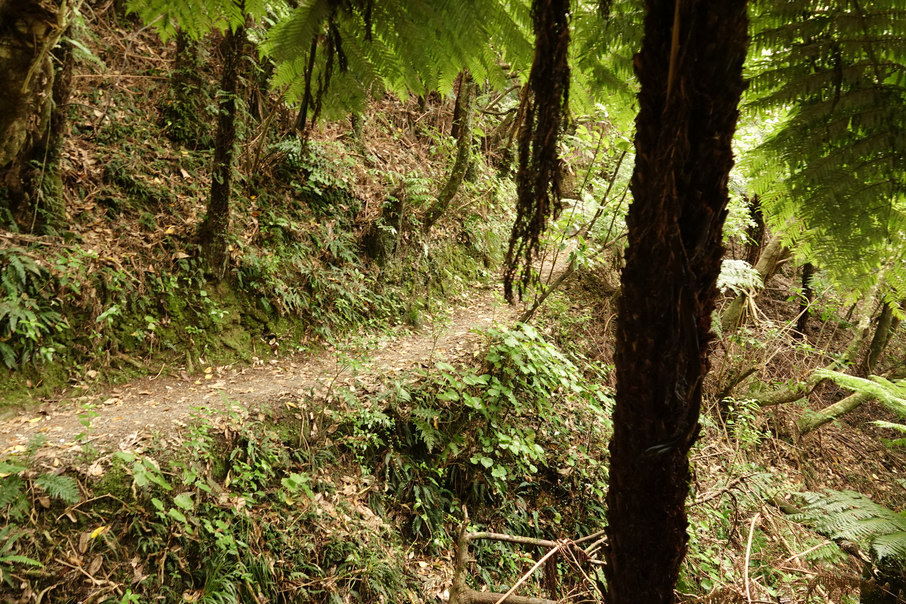 photo1.png