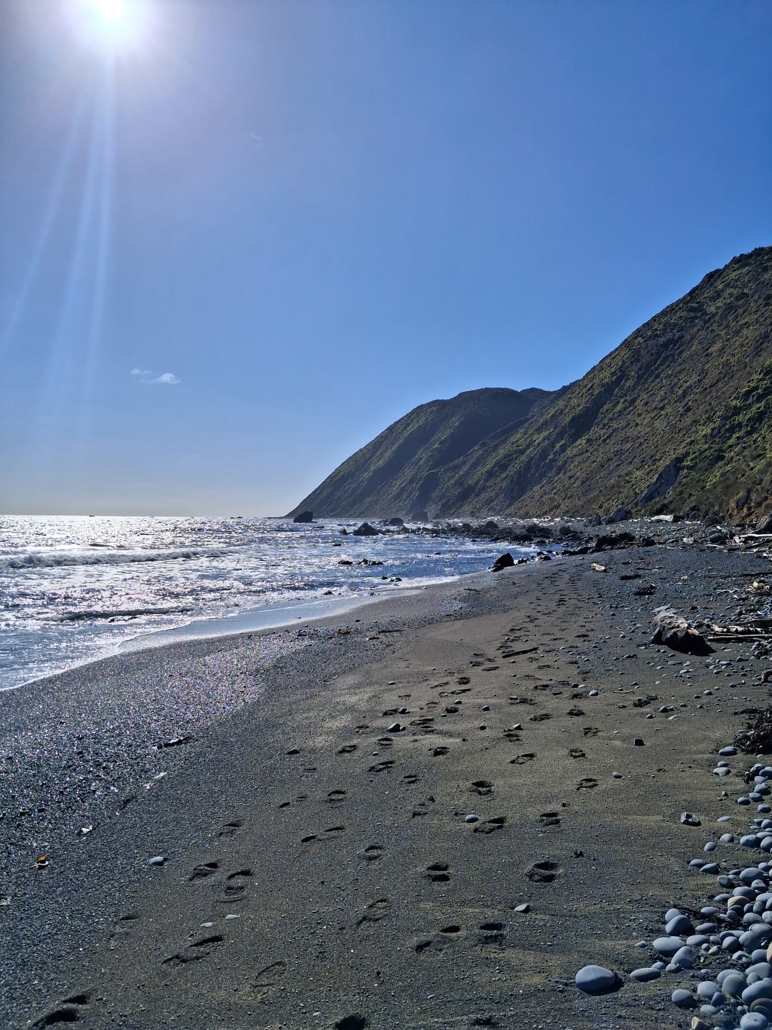 beach.jpg
