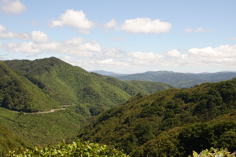 rimutaka_view.png